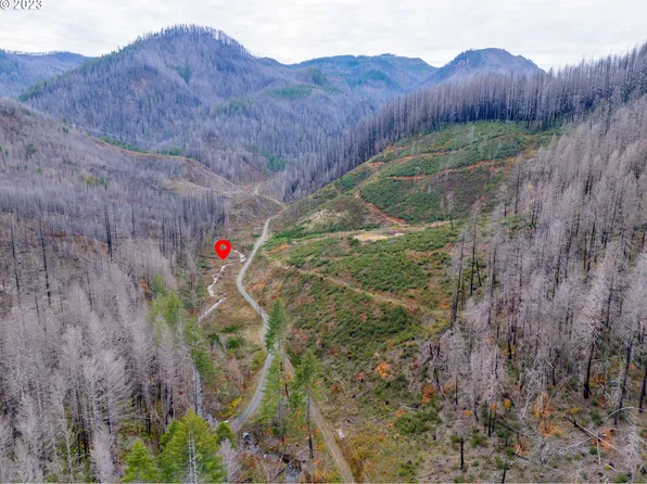 0 Honey Creek Rd, Idleyld Park, OR 97447