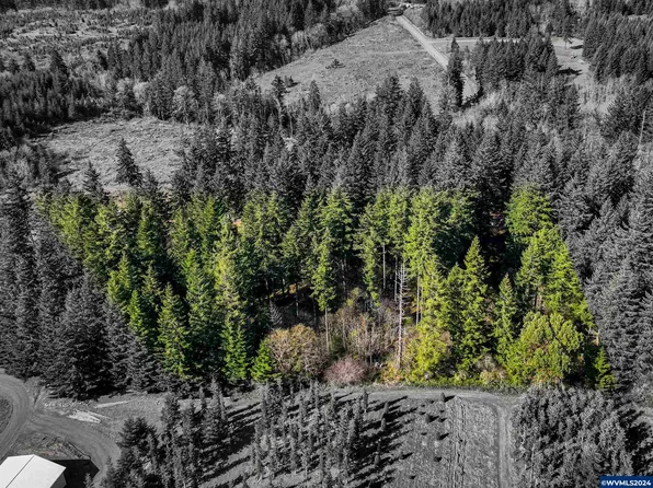 19860 Sharon Tony Way SE, Silverton, OR 97381