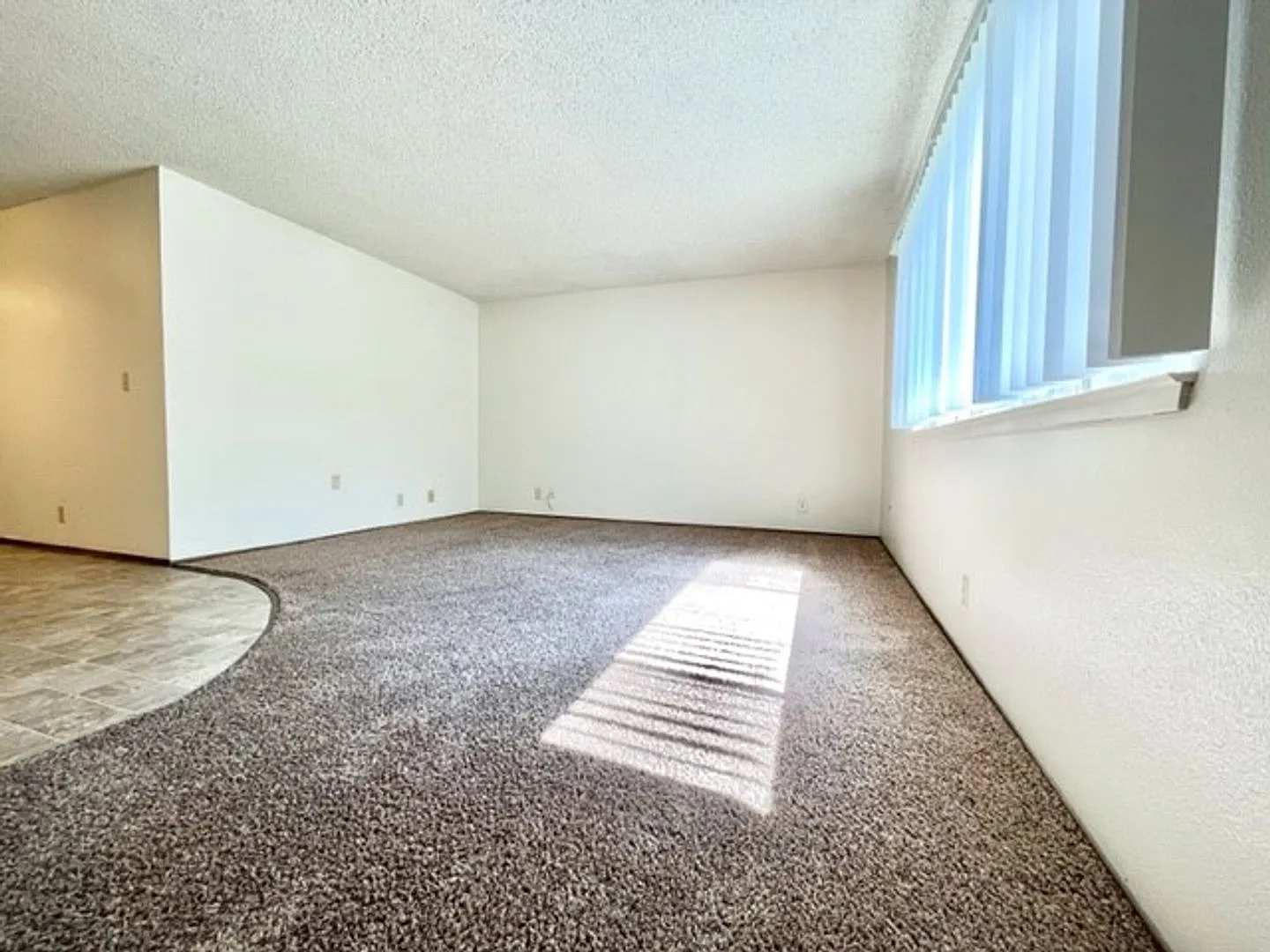 417 Orange St — Photo 3