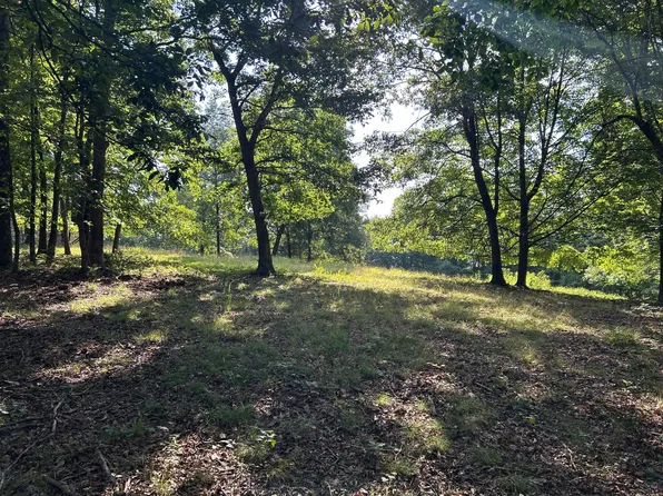 6741 Big Spruce Little Bear Rd, Otway, OH 45657