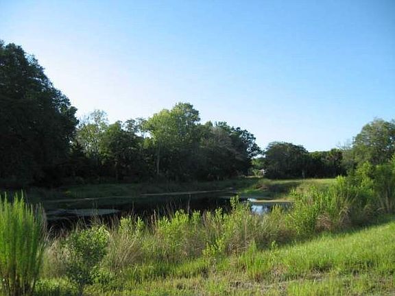 3rd image of 195 Willow Oak Way