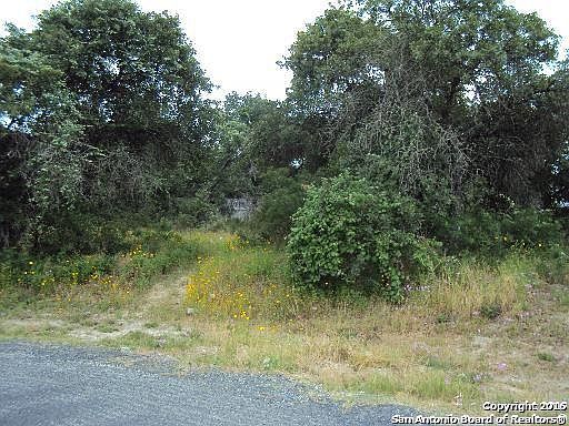 2nd image of 22706 Gold Gap St