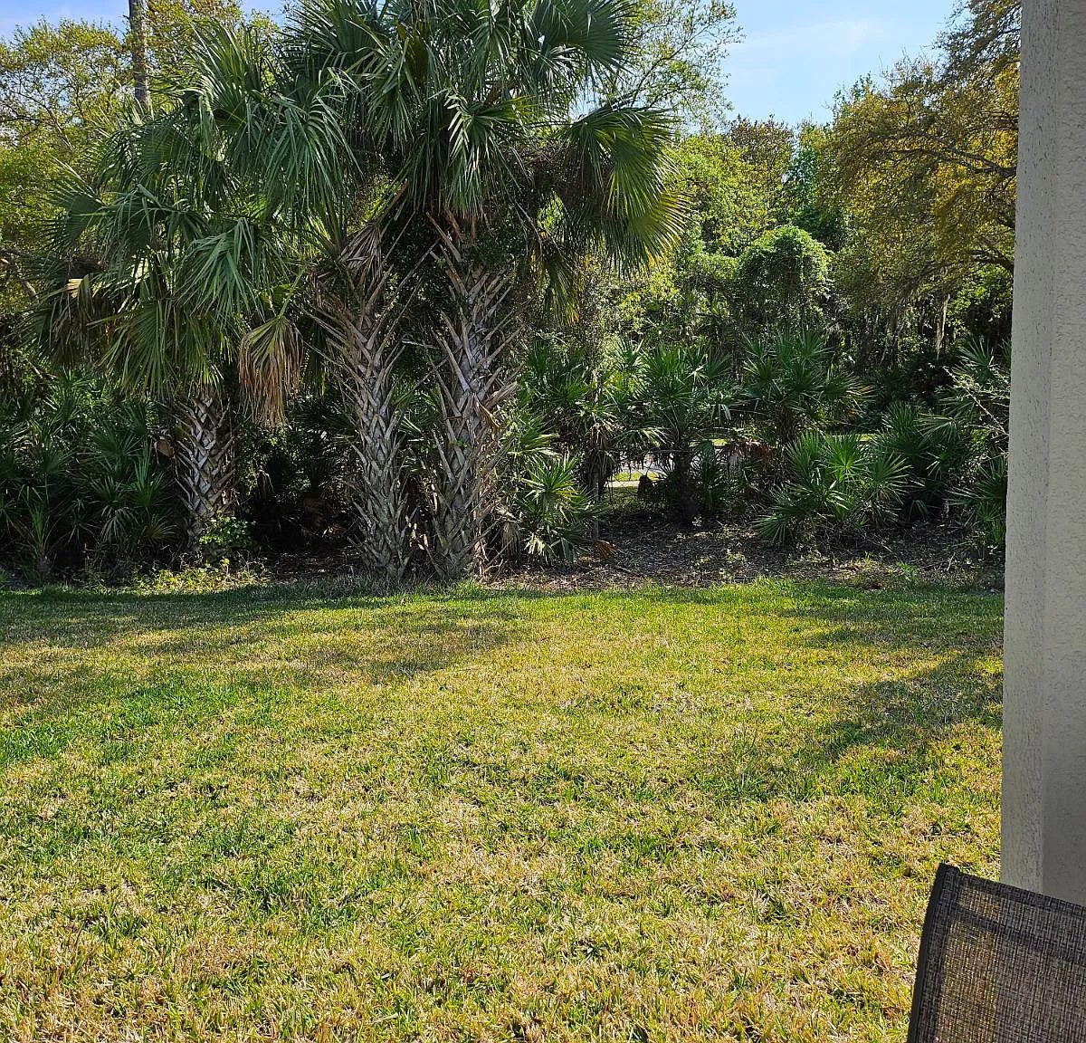 3 bed, 1269 sqft, $4,000 — Photo 3