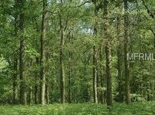 1206 Davies Ave, Brandon, FL 33511