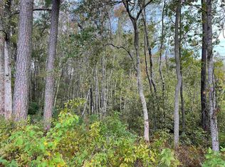 TRACT Whitehall Ave #B, Georgetown, SC 29440