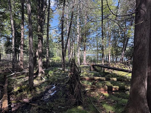 3rd image of W5700 Pinewood Dr