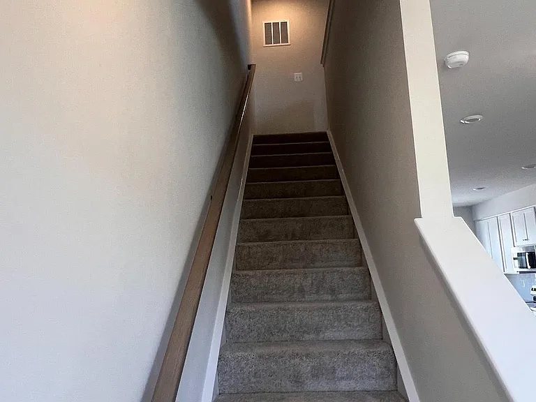 349 Short Branch Dr — Photo 21
