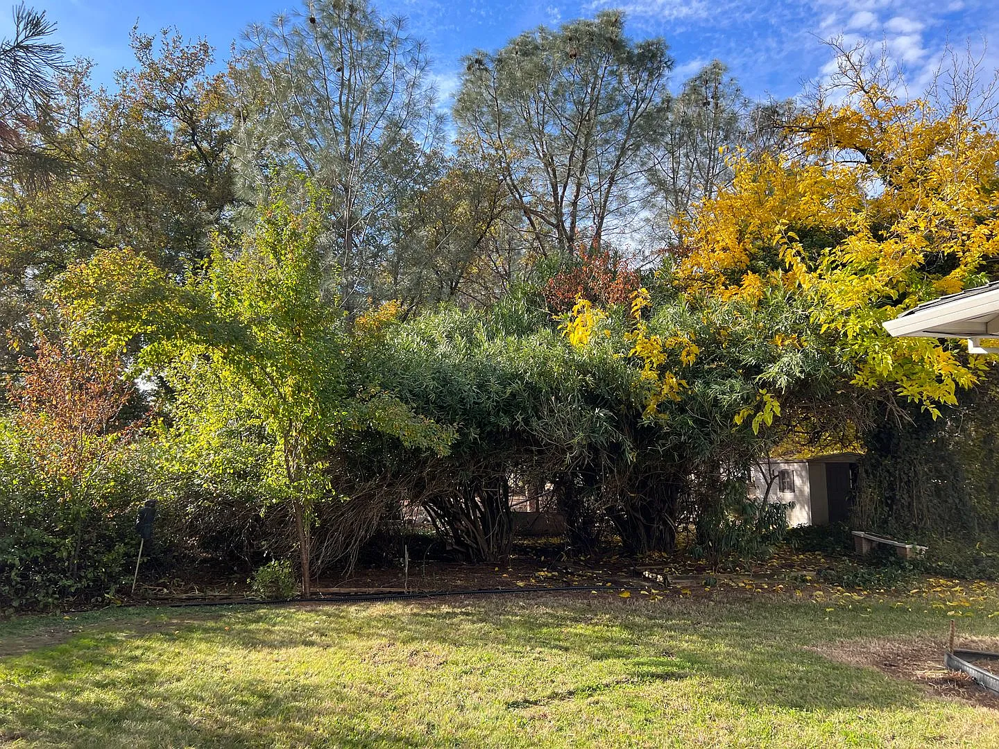 Wonderful Palo Cedro Neighborhood country setting! — Photo 4