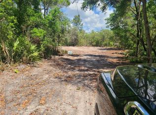 Bobcat Ln, Osteen, FL 32764