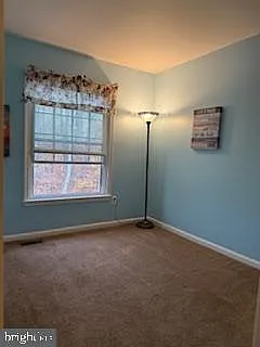 11598 Overleigh Dr — Photo 11