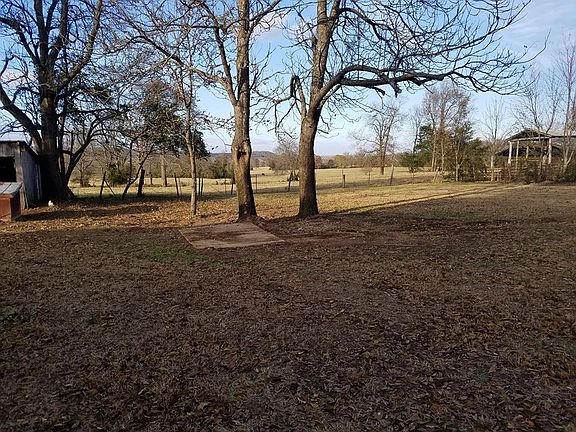 NE of the house 