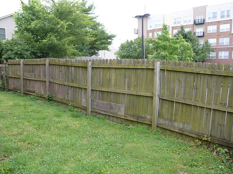 backyard directly behind The Lex