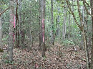 210 Wilson Ln, Mountain City, TN 37683