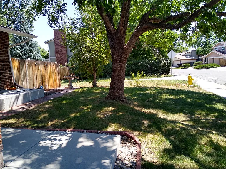 340 Andrew Dr — Photo 72