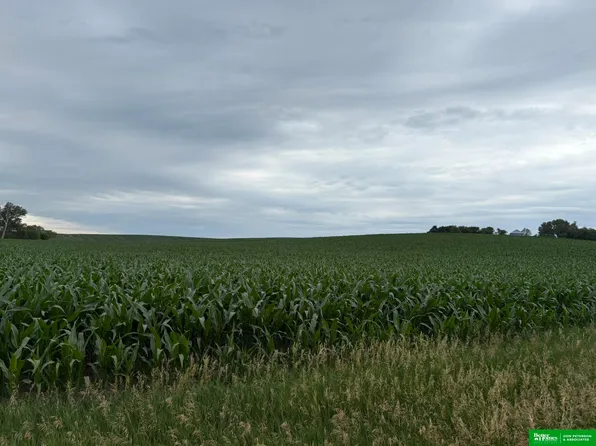 County Rd E, Craig, NE 68019
