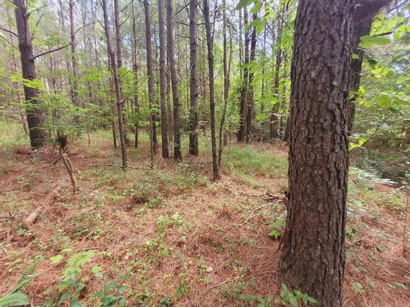 249 Bethlehem Rd, Copperhill, TN 37317