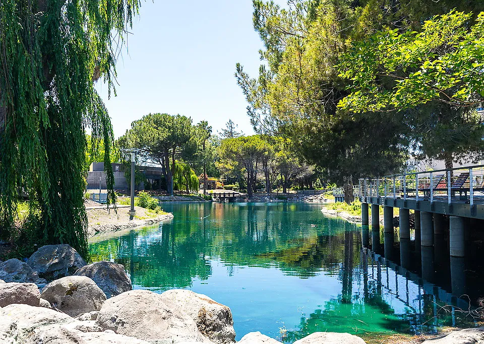 1250 Lakeside