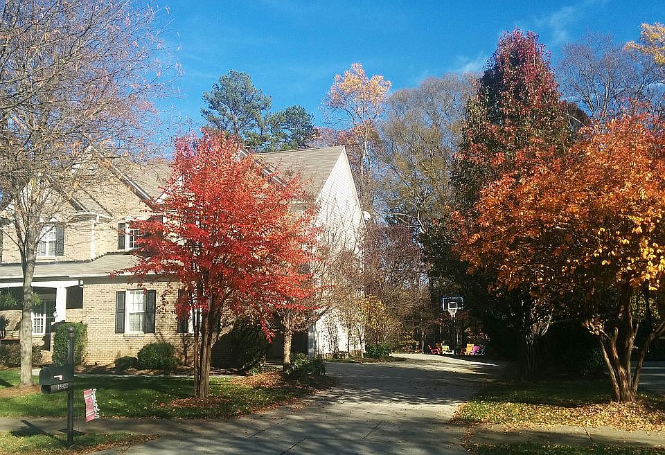 Beautiful in the fall