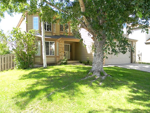 exterior - front yard