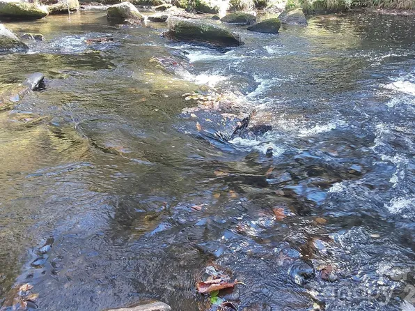 24 Heritage Dr, Sapphire, NC 28774