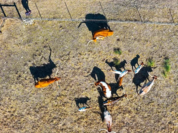 Lipan Apache Run, Blanco, TX 78606