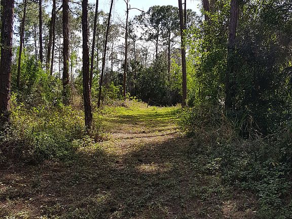 5th image of 25441 Moriah Ln