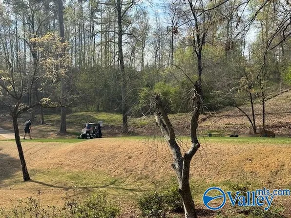 LOT 62 Heritage Dr, Guntersville, AL 35976