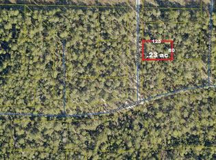 7 Goldenrod Dr, Defuniak Springs, FL 32433