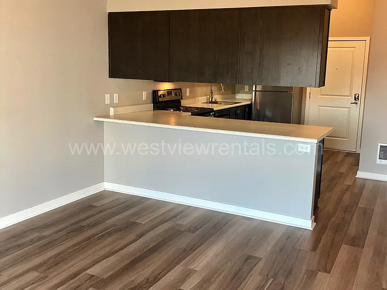 203 E Laurel St — Photo 373