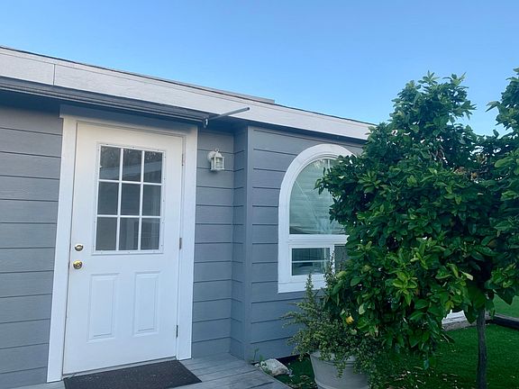 Grapefruit tree for you breakfast or greyhounds