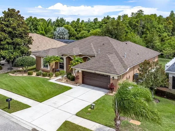 16506 Ivy Lake Dr, Odessa, FL 33556