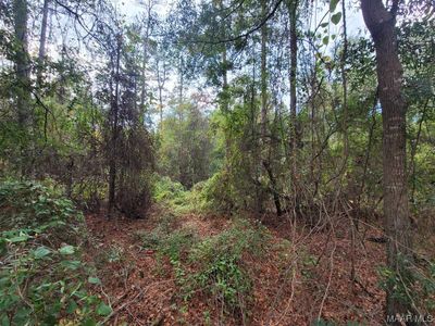 0 Bridge Creek Rd, Prattville, AL, 36067