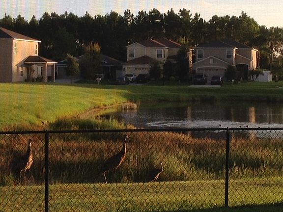 View from the back patio