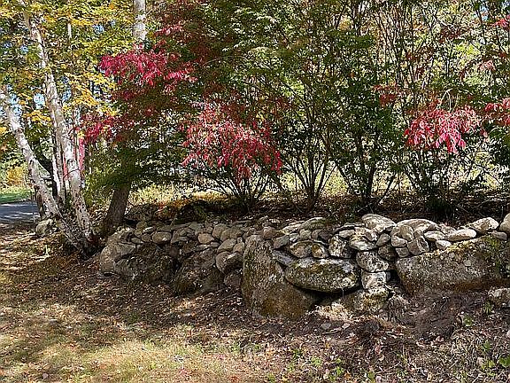 Beautiful stone wall 
