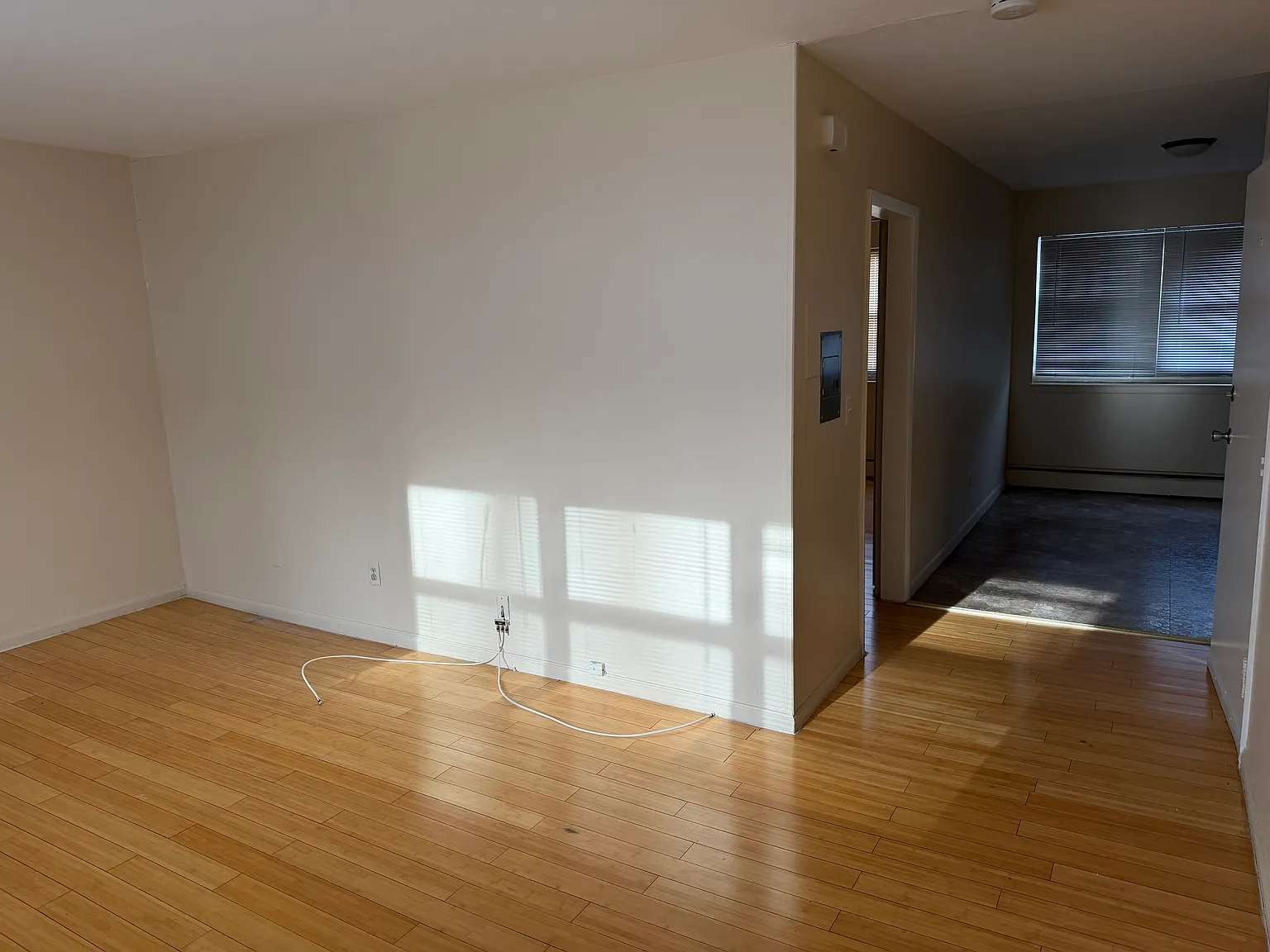 1 bed, 650 sqft, $1,800 — Photo 3