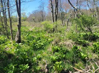 Lower Demunds Rd, Dallas, PA 18612