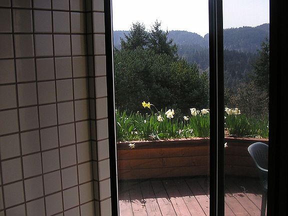 Deck from master bath