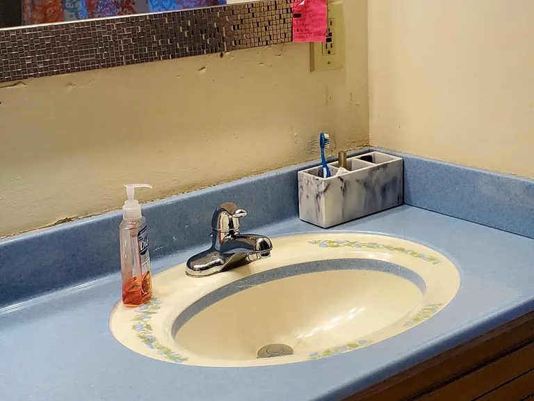Main Bath Sink
