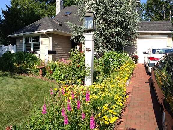 When Perennial Flowers Bloom