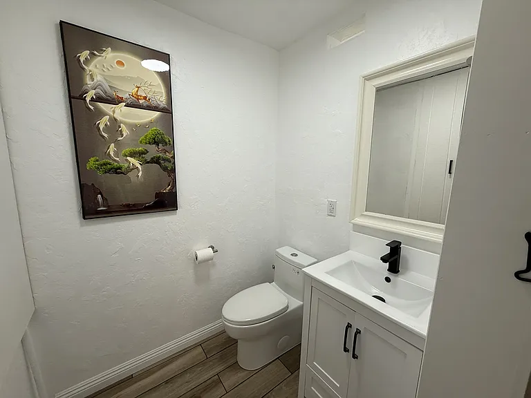 New Downstairs 1/2 Bathroom-Living Room
