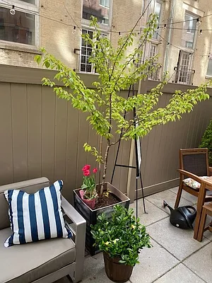 Rented by UDR | media 5