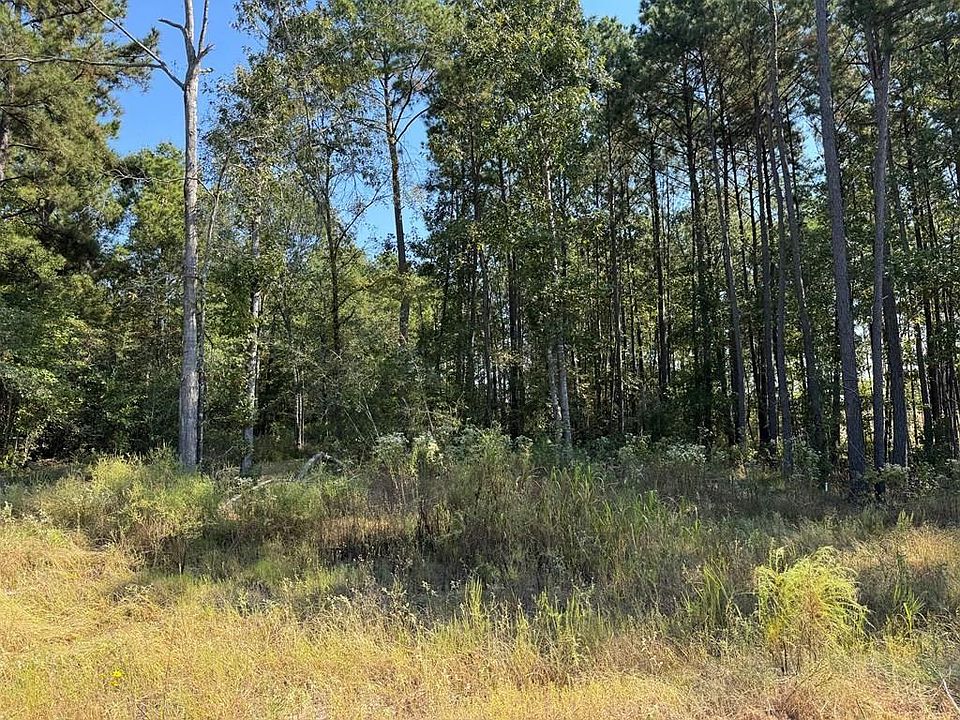 1st image of 125 Yaupon Ct