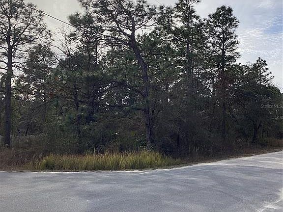 3rd image of 12449 Indigo Bunting Rd