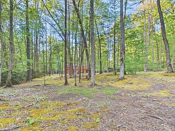 54th image of 113 Rivendell Ln