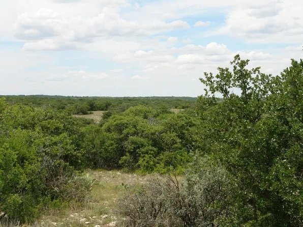 County Road 4131, Eden, TX 76837