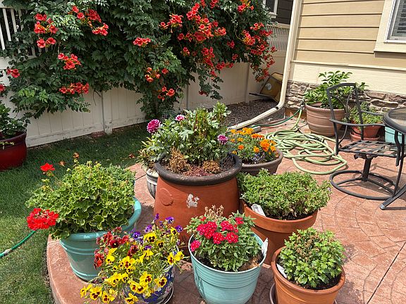 Backyard Patio