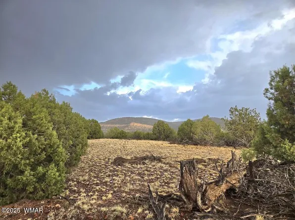 9 Pinon Valley Rnch, Concho, AZ 85924