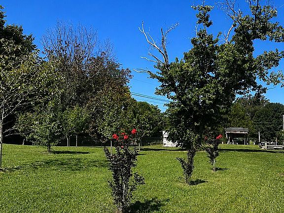 4th image of 1926 McGhee Rd