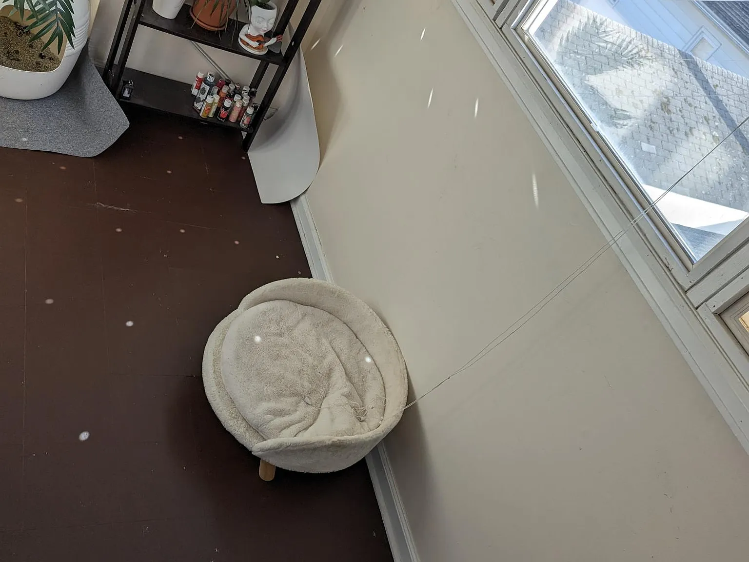 2 bed, $1,450 — Photo 4