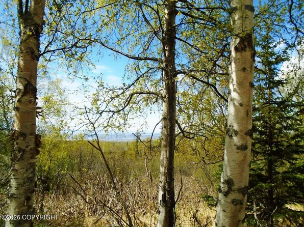 L2b Goldenview Dr, Anchorage, AK 99516